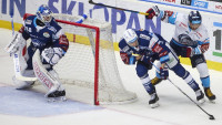 hokej brno
